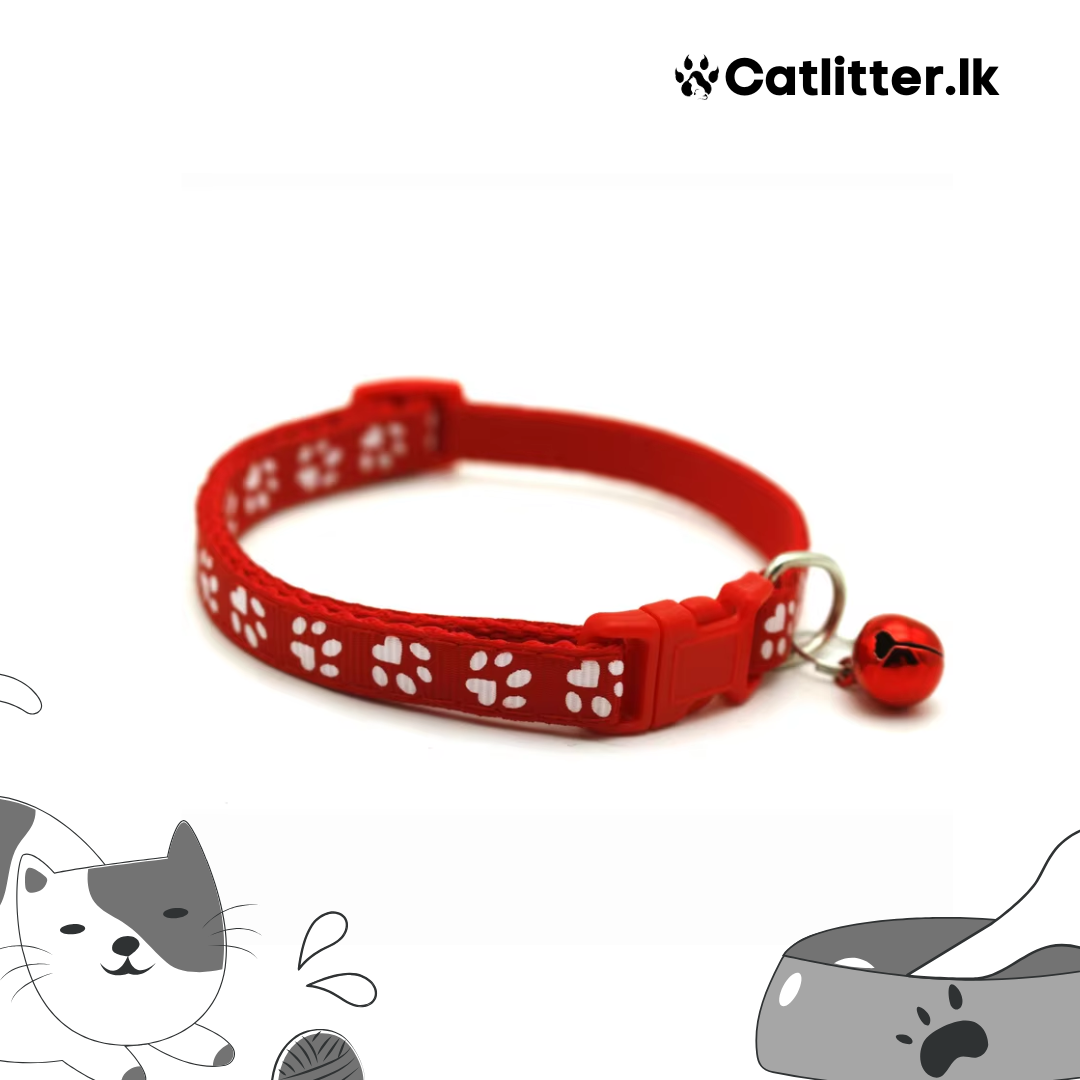 Cat Collar Multi Colour
