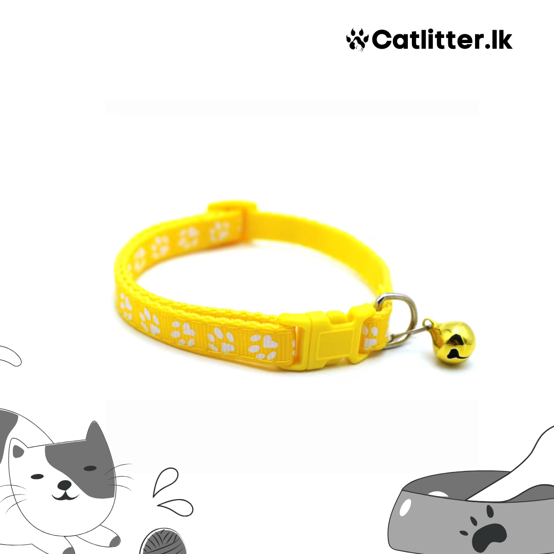 Cat Collar Multi Colour