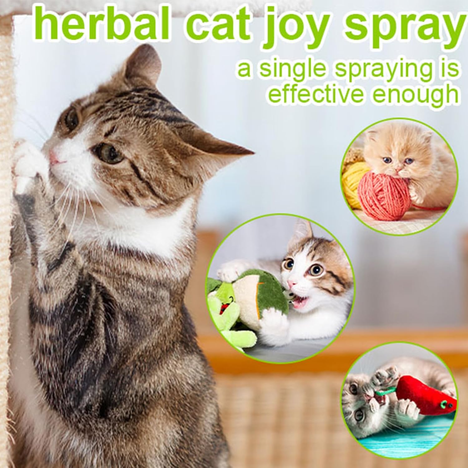 Catnip Spray 100ml