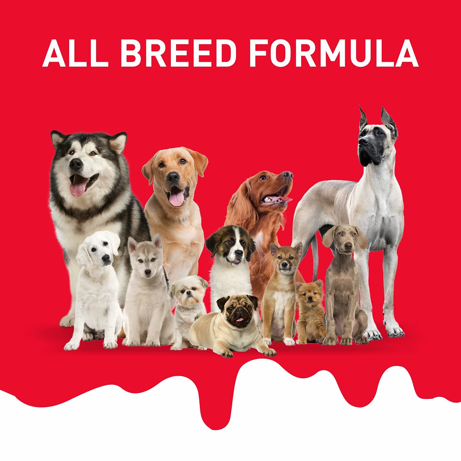 Drools Absolute Calcium Milk Bone For Pets