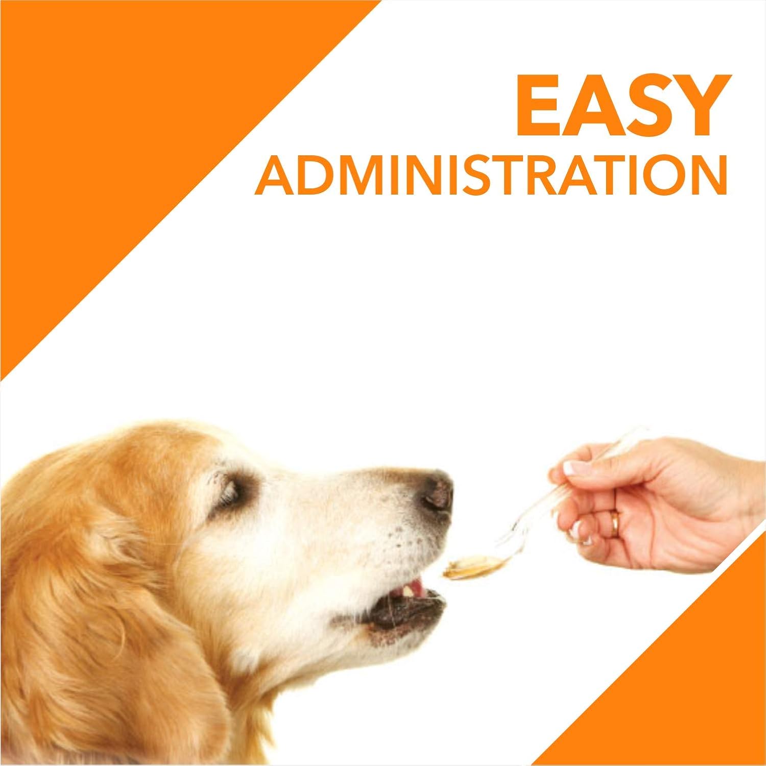 Drools Absolute Salmon Oil For Dogs 300ml