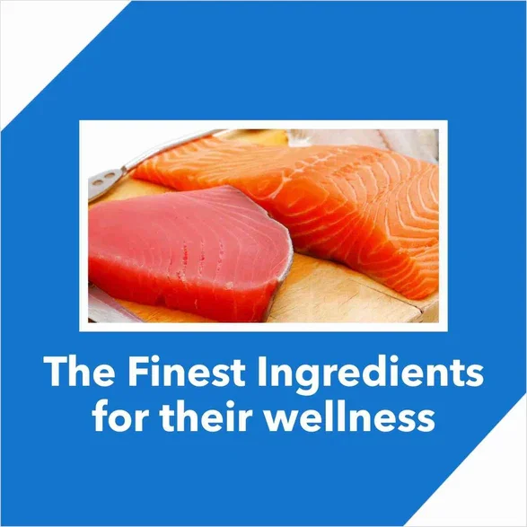 Drools Dry Food For Adult Cat - Tuna & Salmon
