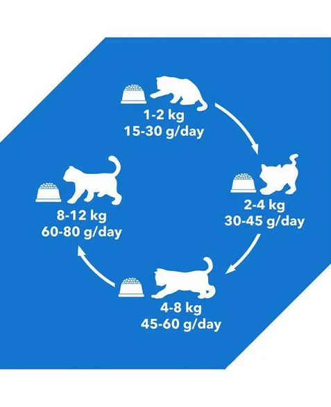 Drools Dry Food For Adult Cat - Tuna & Salmon