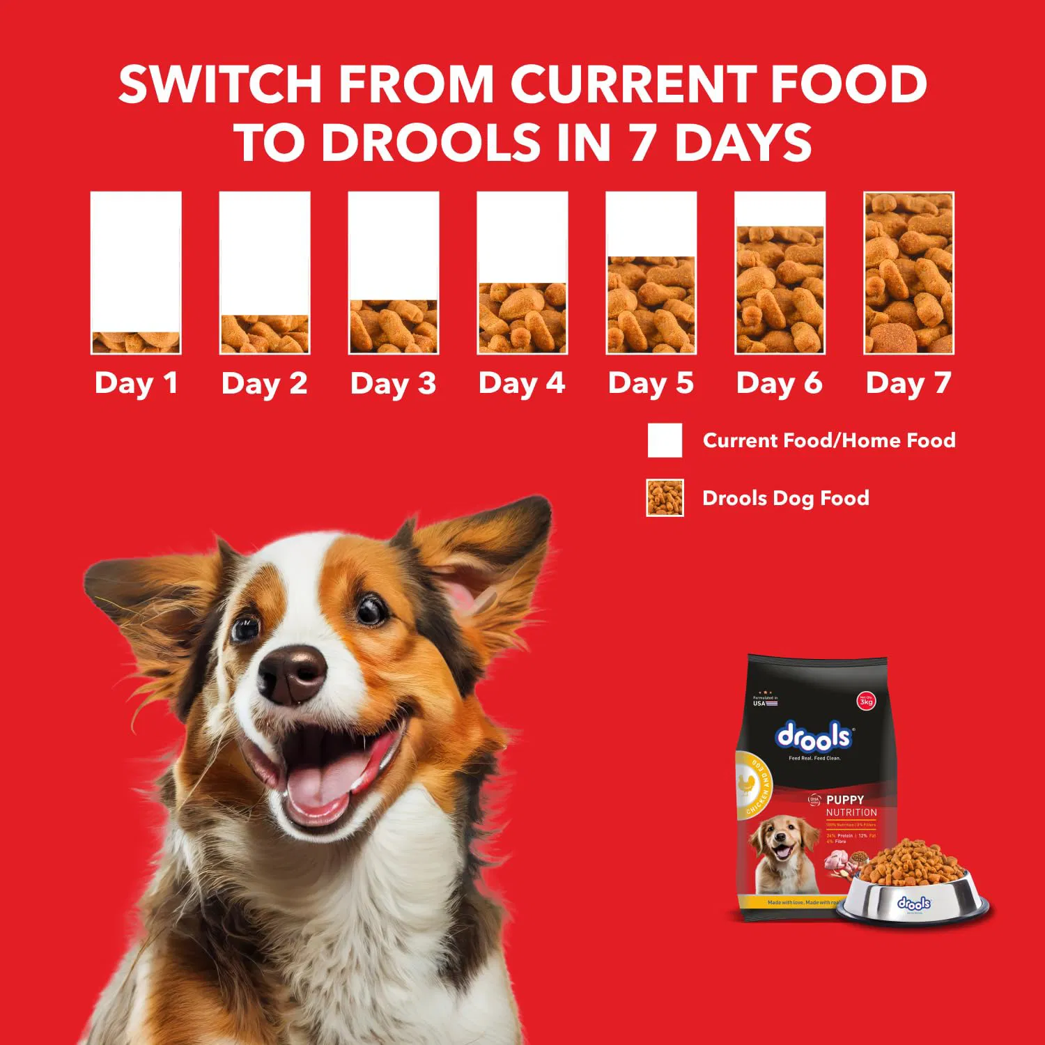 Drools Dry Food For Puppy - Chicken & Egg