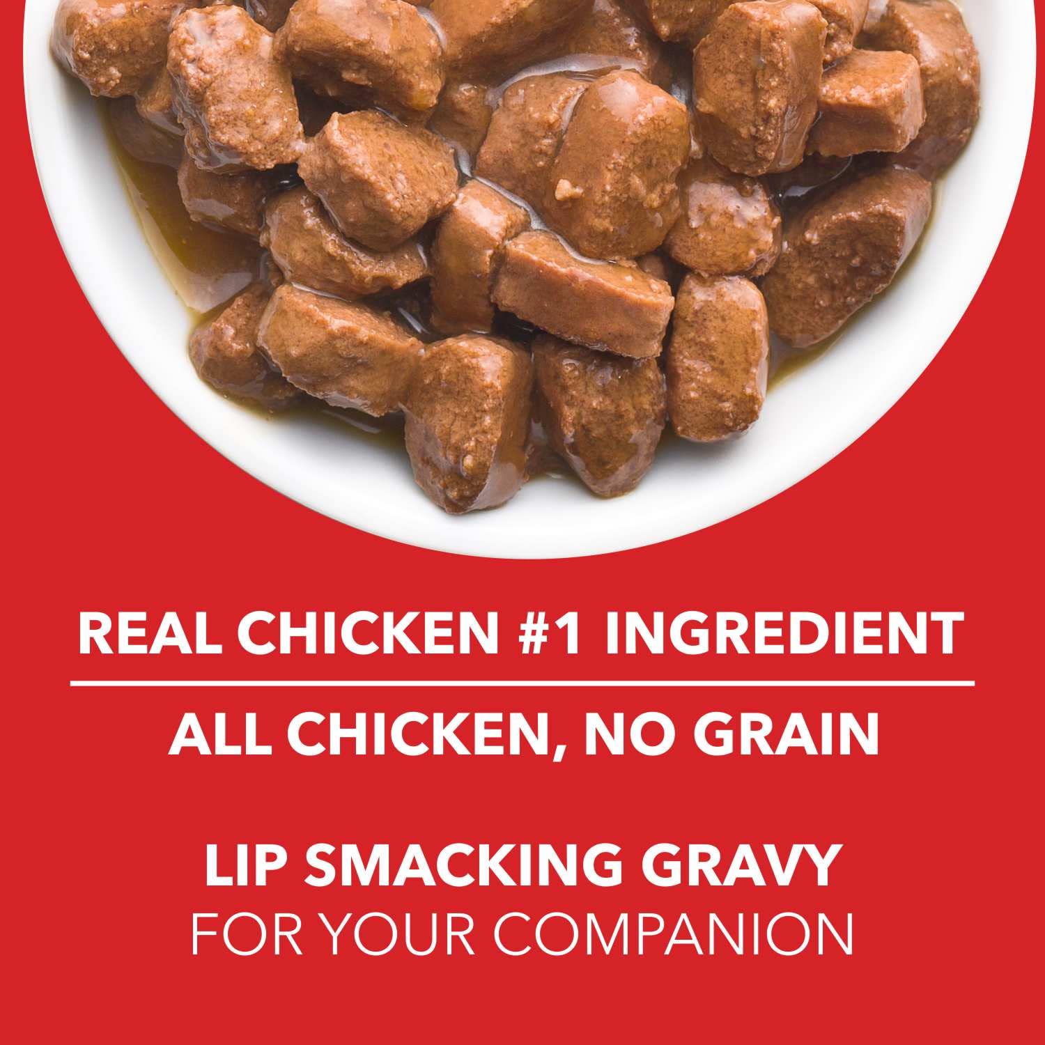 Drools Wet Food For Puppy - Chicken & Liver Chunk In Gravy 150g