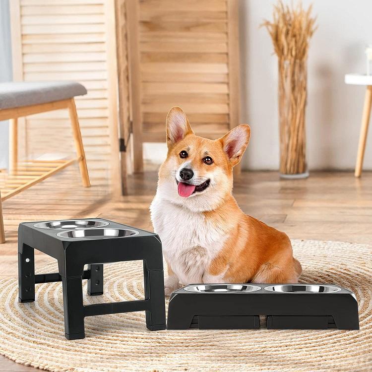 Elevated Food And Water Stainless Steel Bowls For Cats & dogs