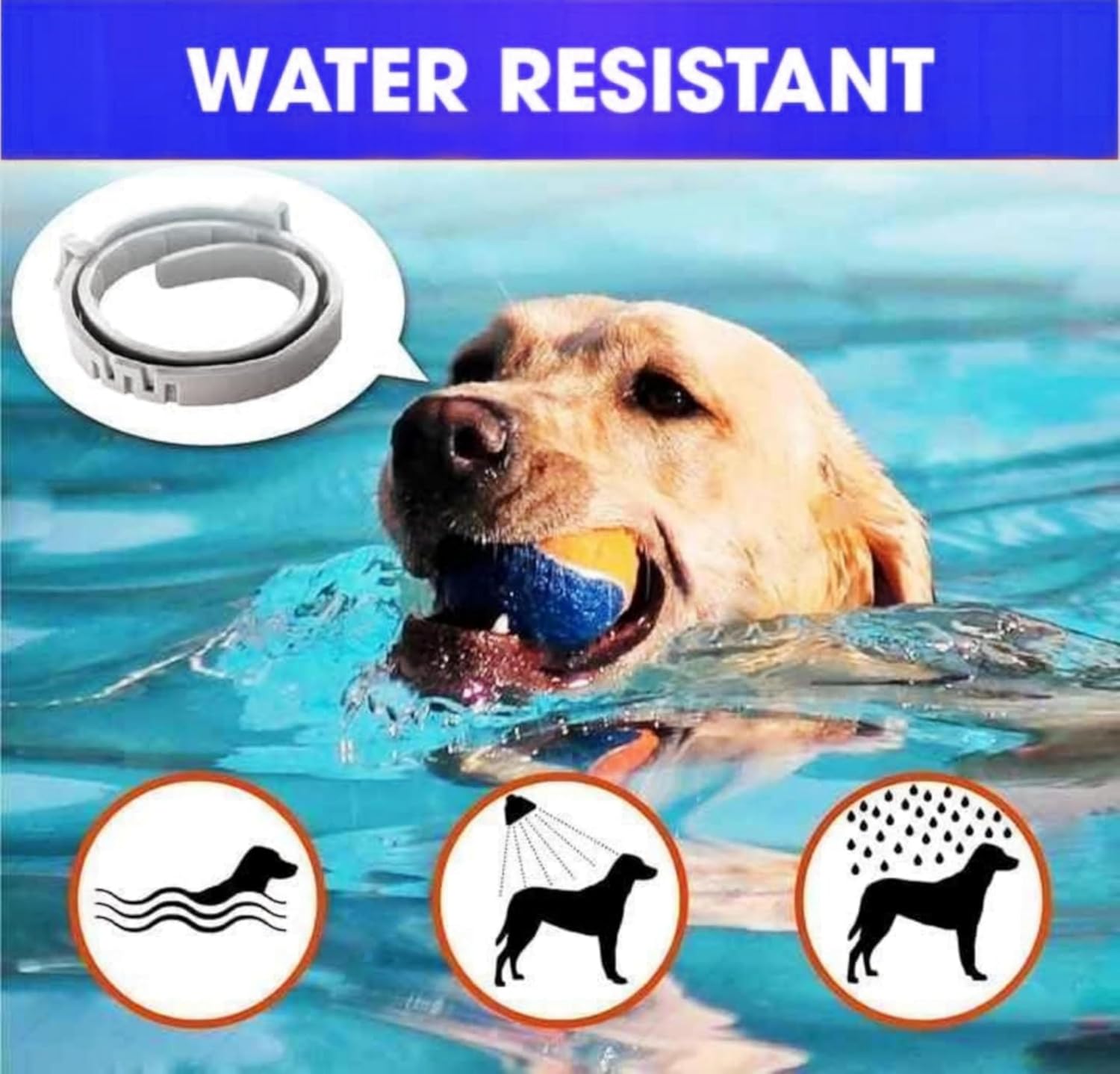 Flea And Tick Dog Collar