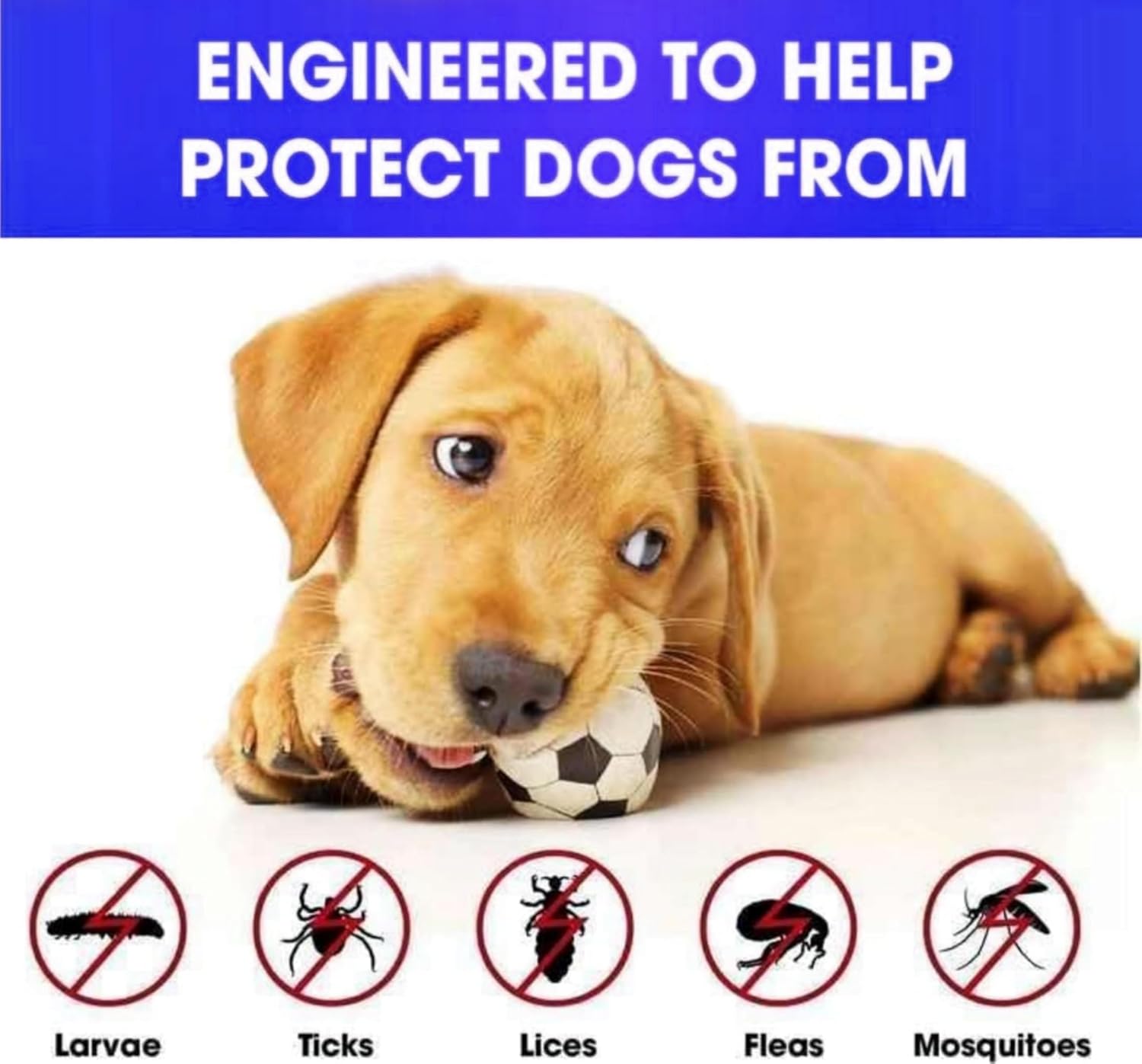 Flea And Tick Dog Collar