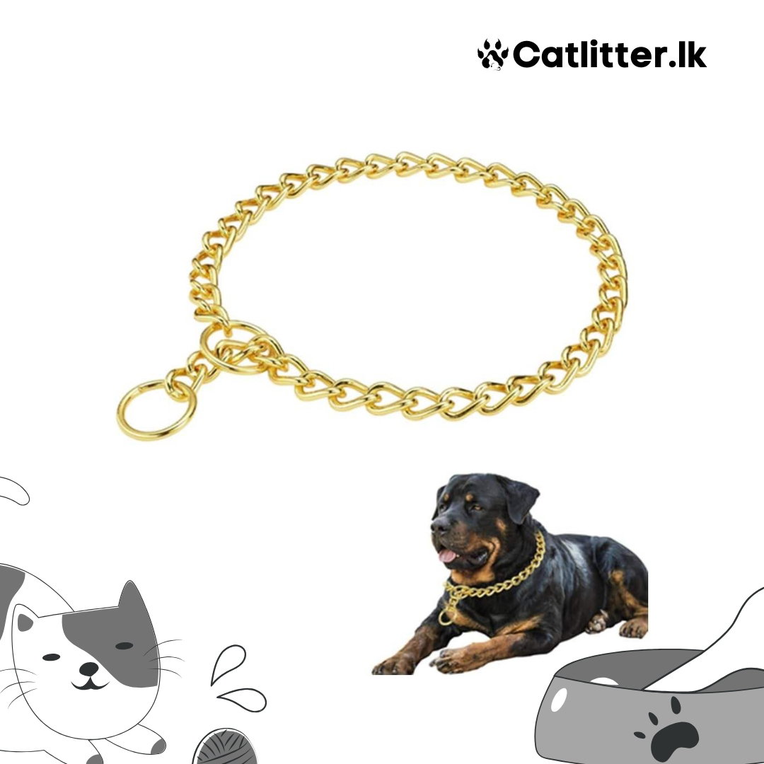 Gold Chocker