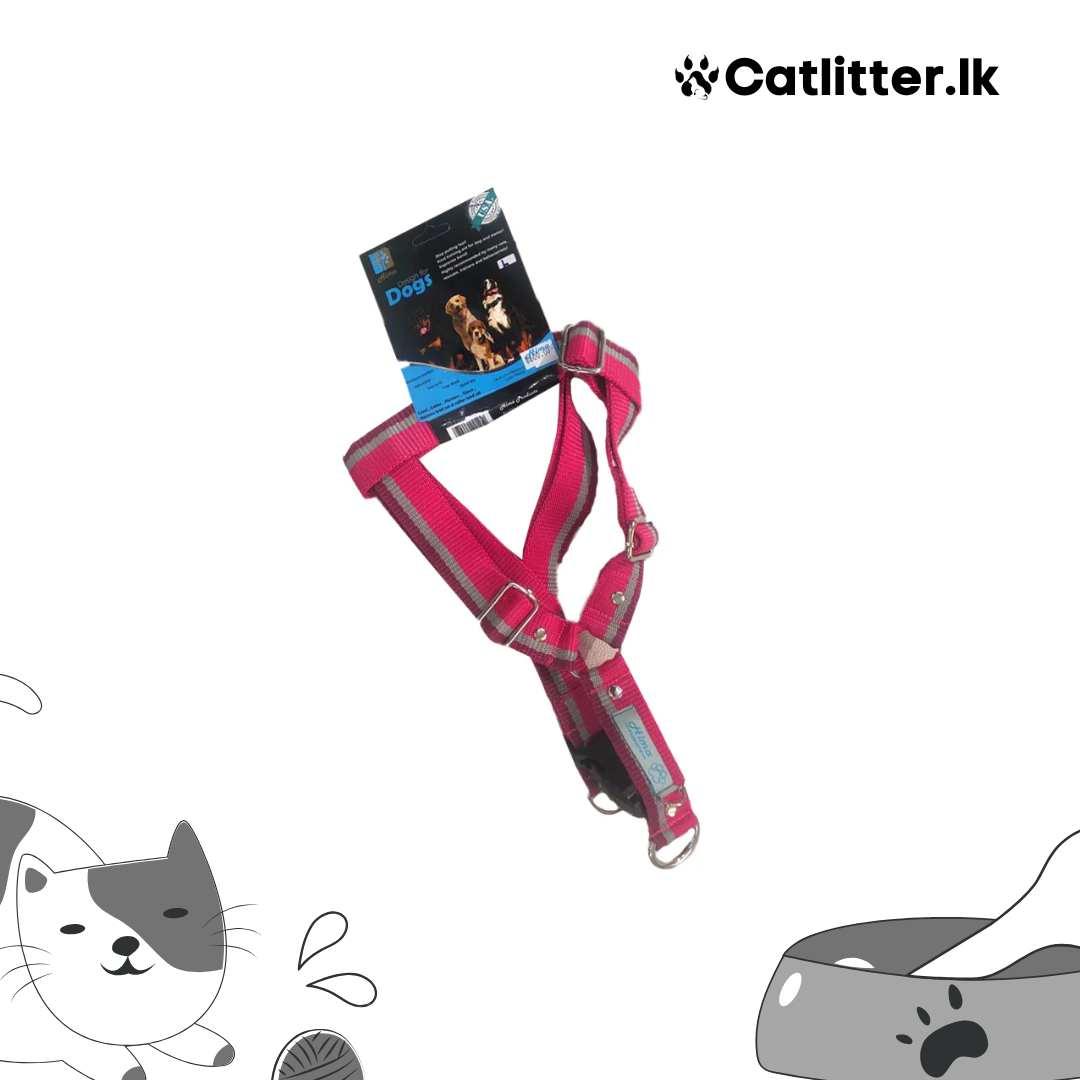 Hima Dog Harness