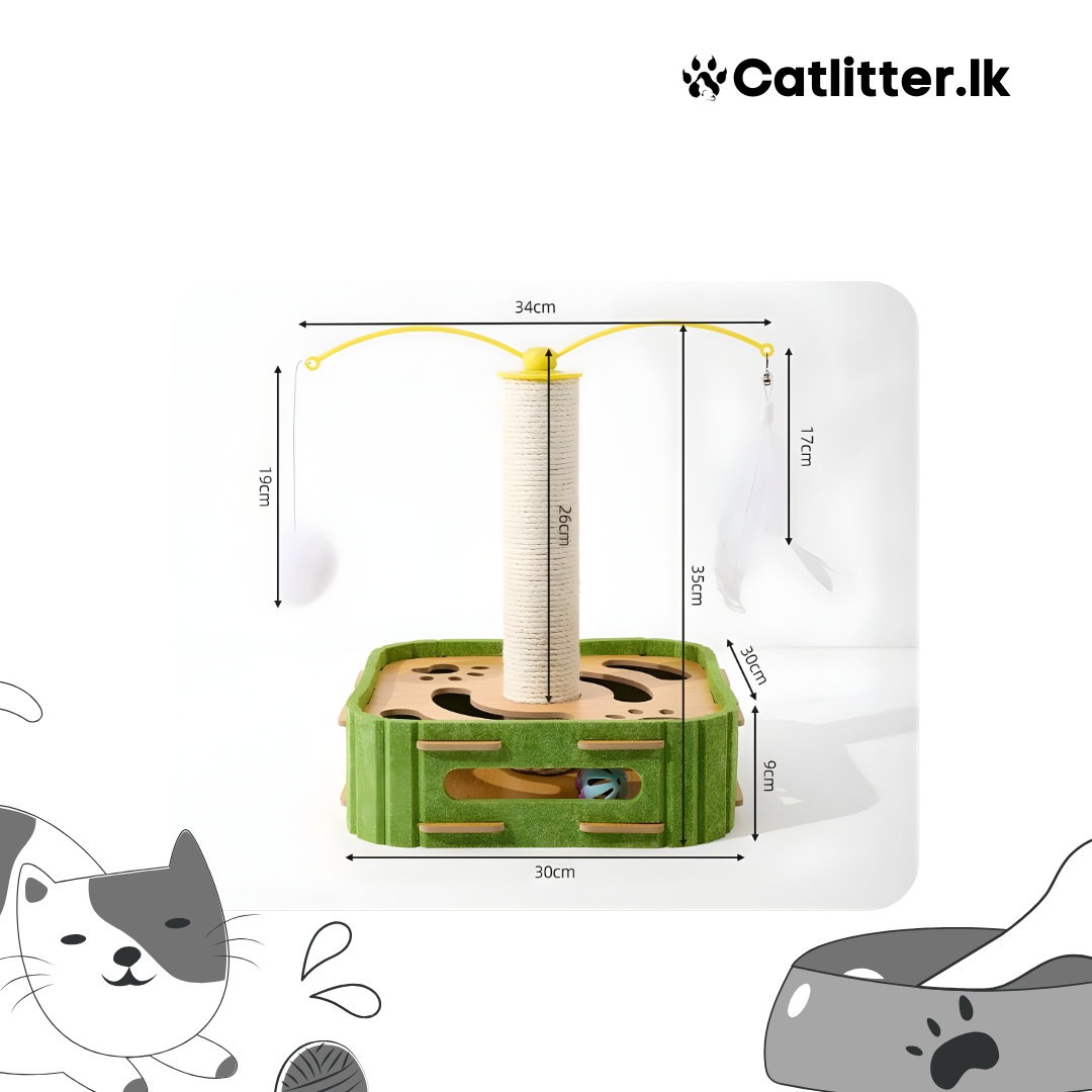 Interactive Cat Toy With Rotating Maze