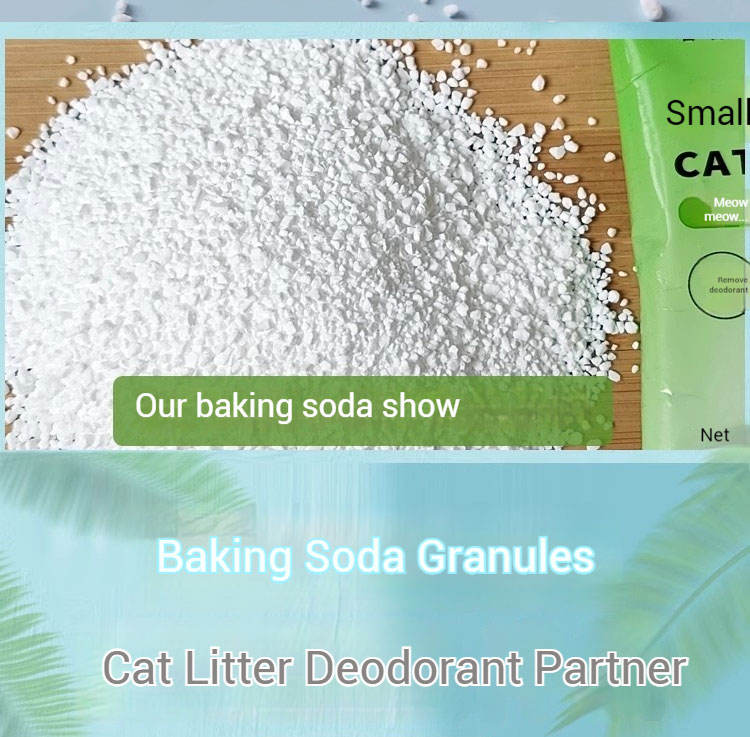 Litter Deodorizer And Odor Control 100g