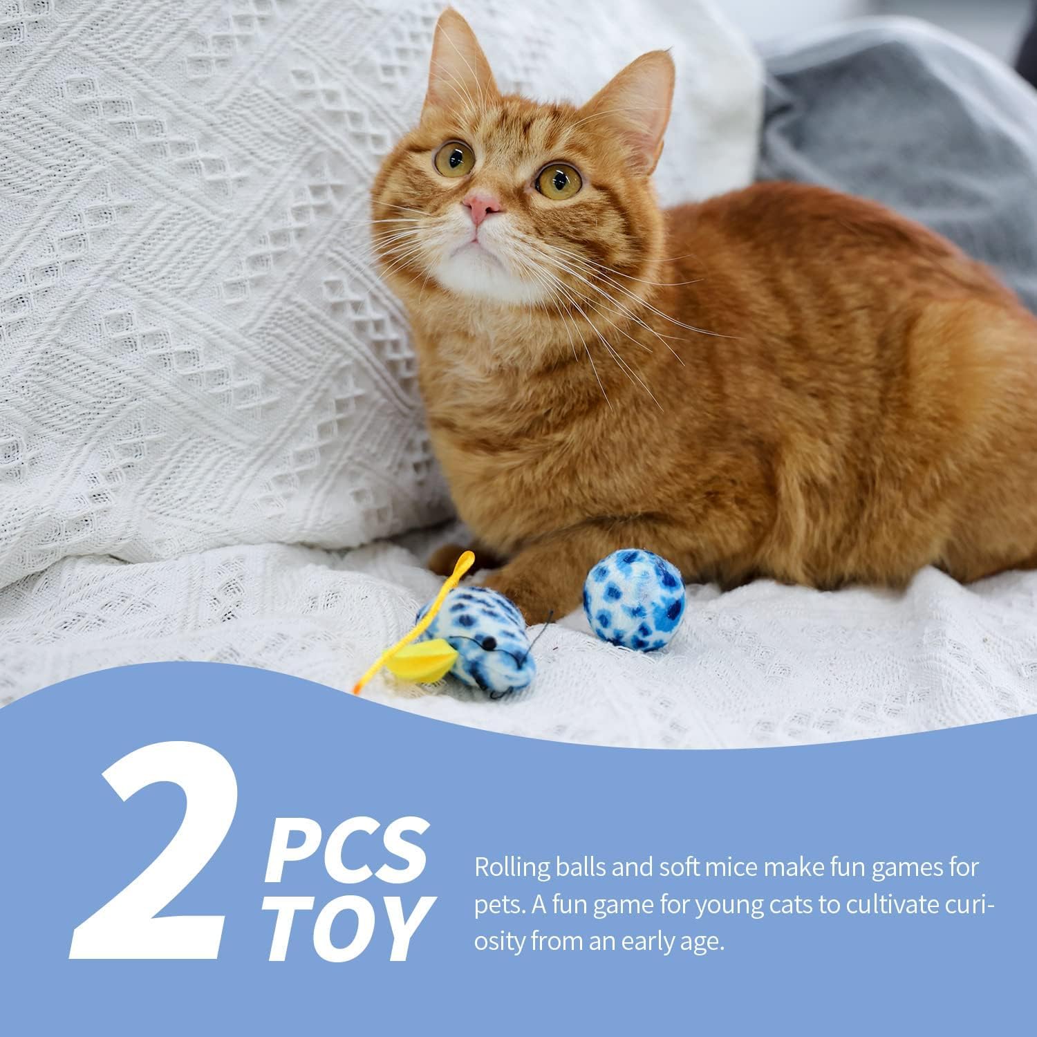 Pawise Kitty Starter Kit
