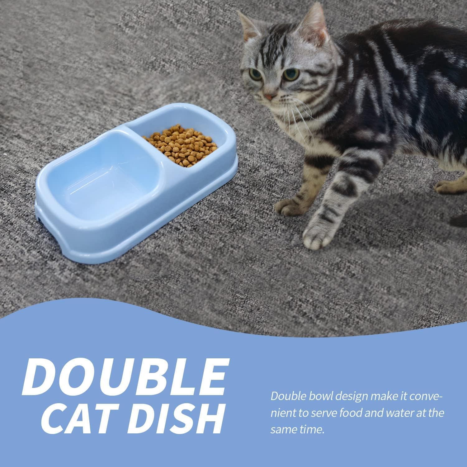 Pawise Kitty Starter Kit