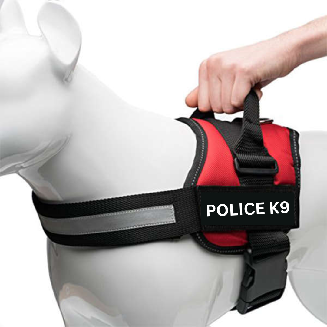 Police Dog Beach Harness