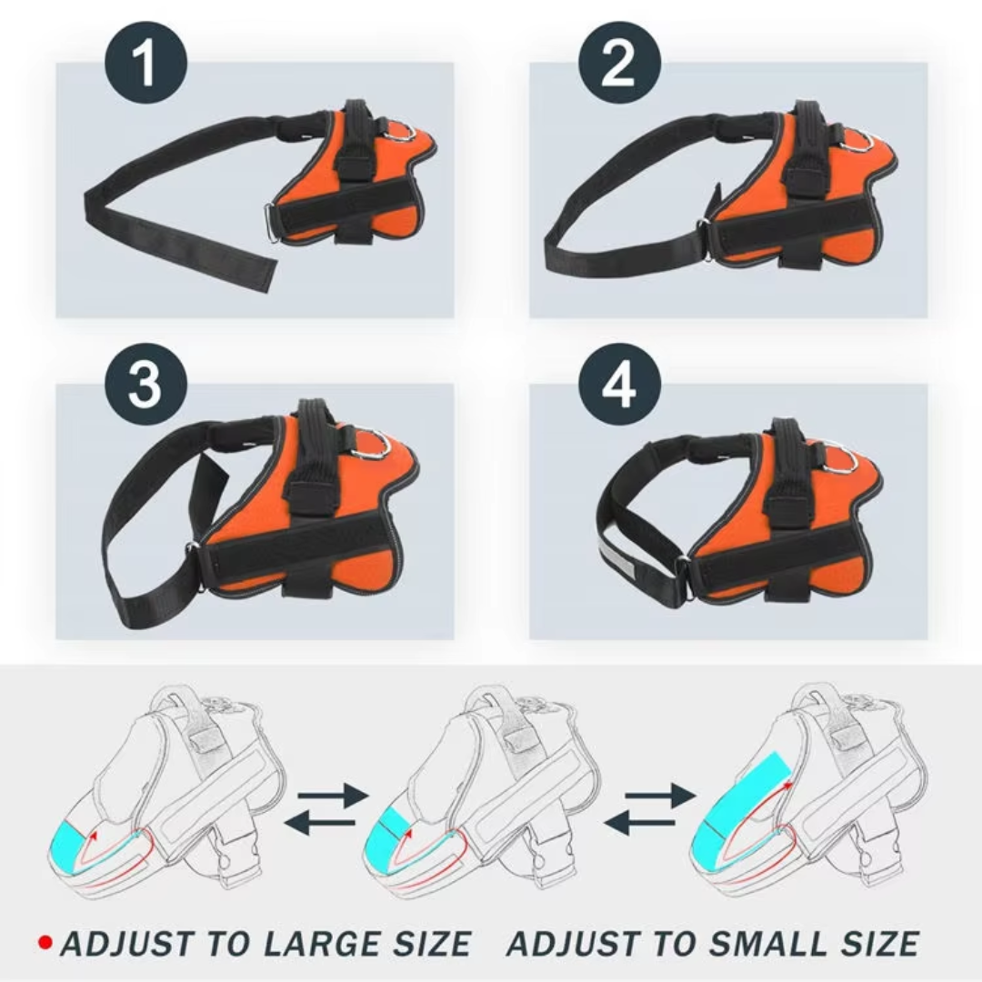 Police Dog Beach Harness