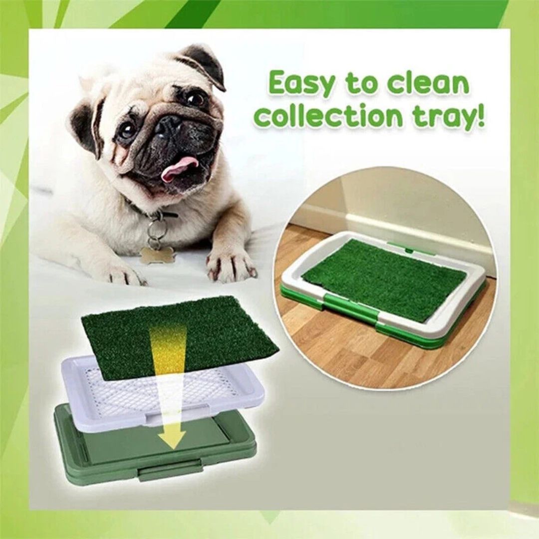Puppy Potty Pad