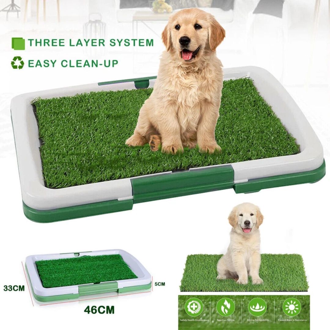 Puppy Potty Pad