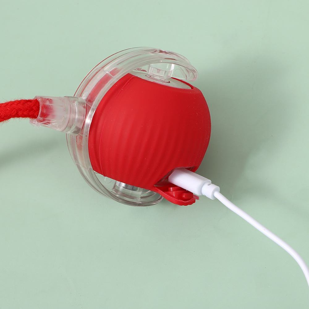 Smart Self Rolling Toy With Tail