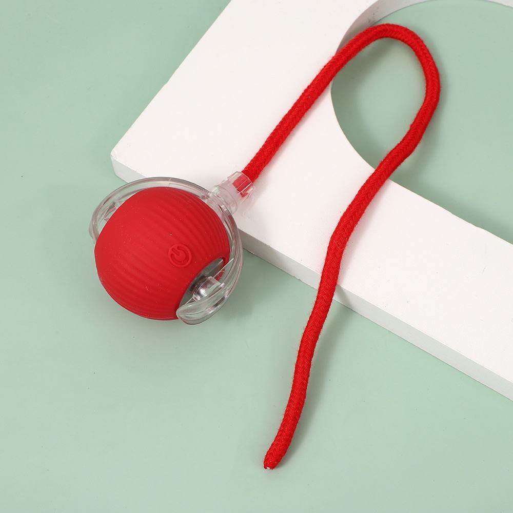 Smart Self Rolling Toy With Tail